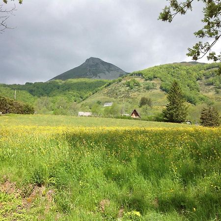 Chalet Avec Vue Panoramique Sur Le Plomb Du Cantal Villa Saint-Jacques-des-Blats ภายนอก รูปภาพ