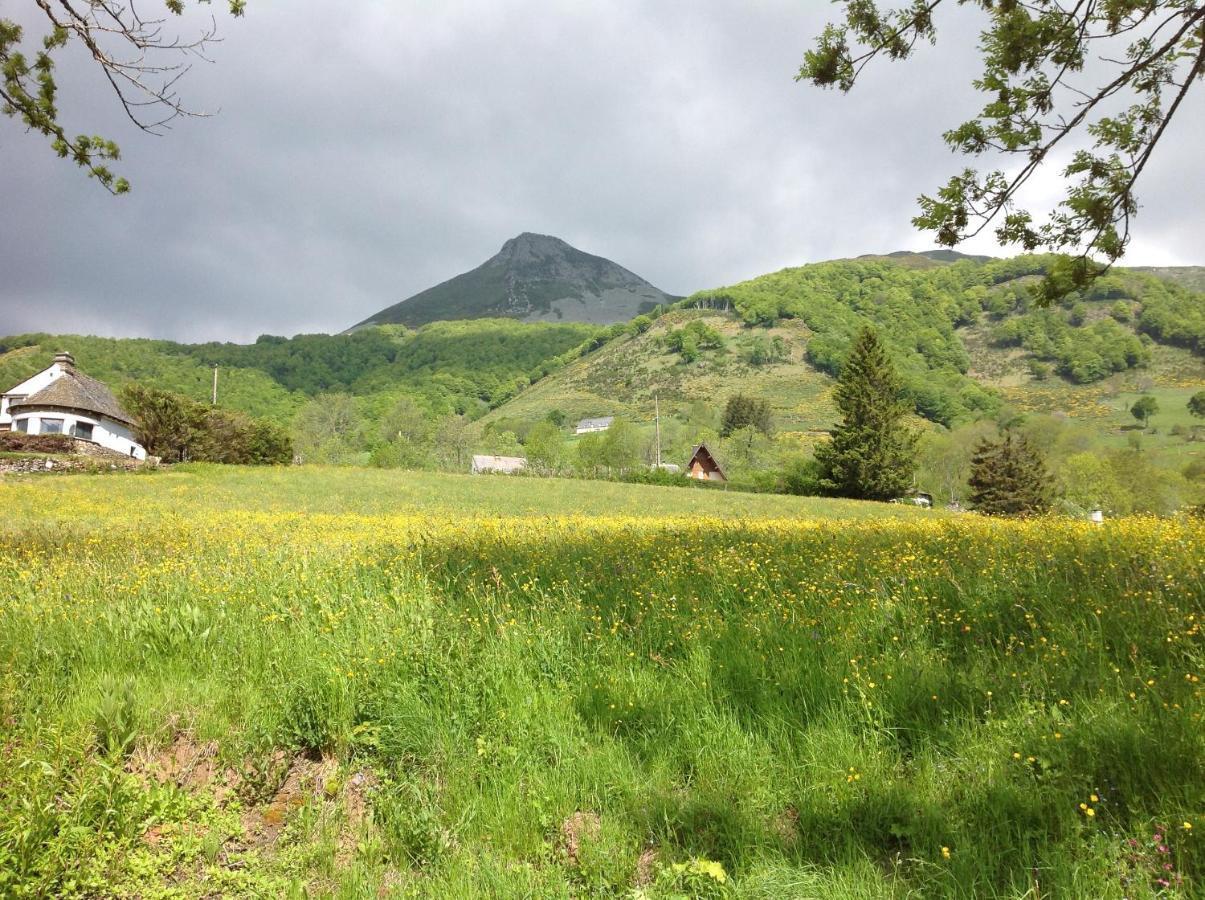 Chalet Avec Vue Panoramique Sur Le Plomb Du Cantal Villa Saint-Jacques-des-Blats ภายนอก รูปภาพ