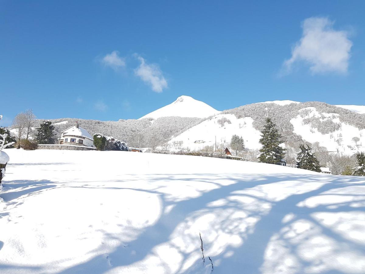 Chalet Avec Vue Panoramique Sur Le Plomb Du Cantal Villa Saint-Jacques-des-Blats ภายนอก รูปภาพ