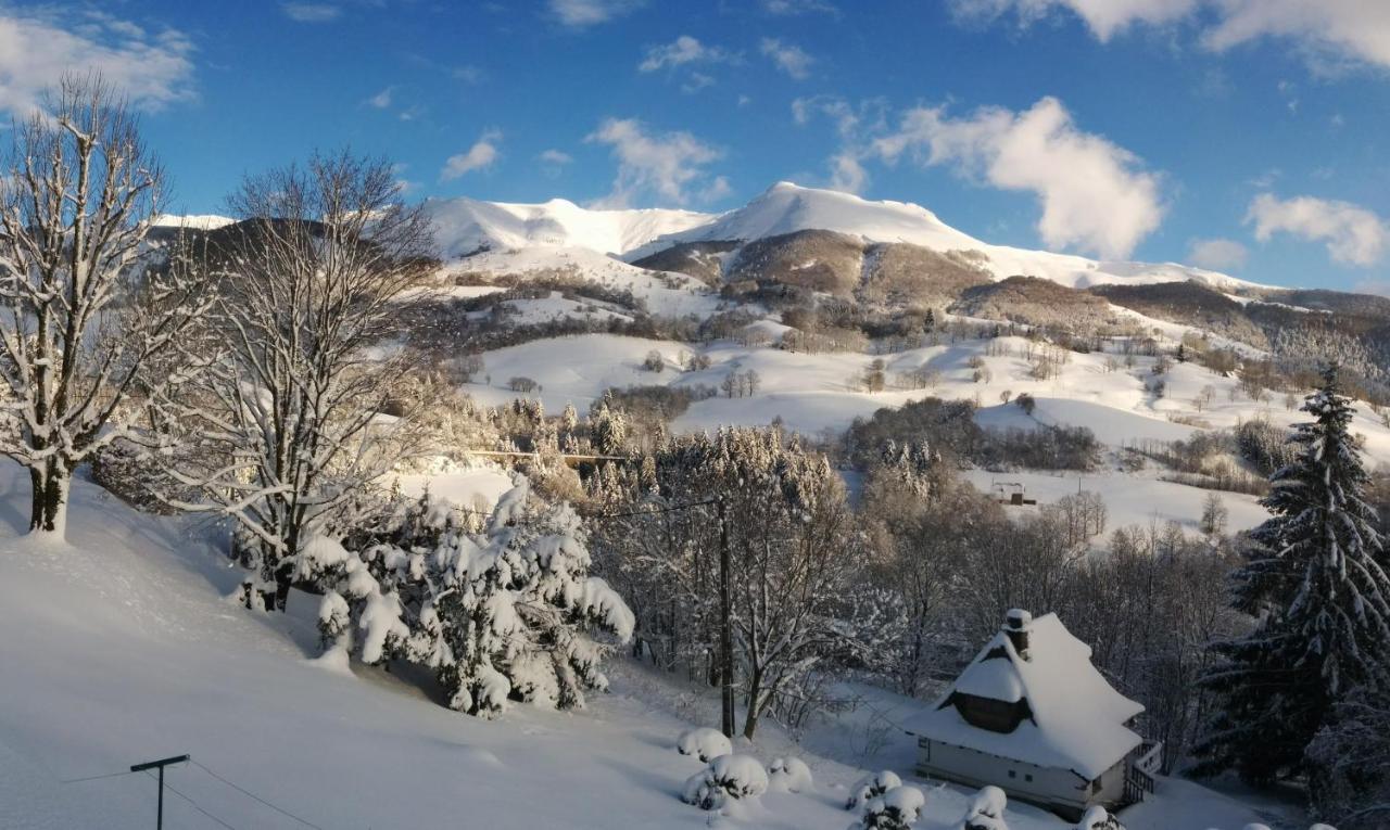 Chalet Avec Vue Panoramique Sur Le Plomb Du Cantal Villa Saint-Jacques-des-Blats ภายนอก รูปภาพ