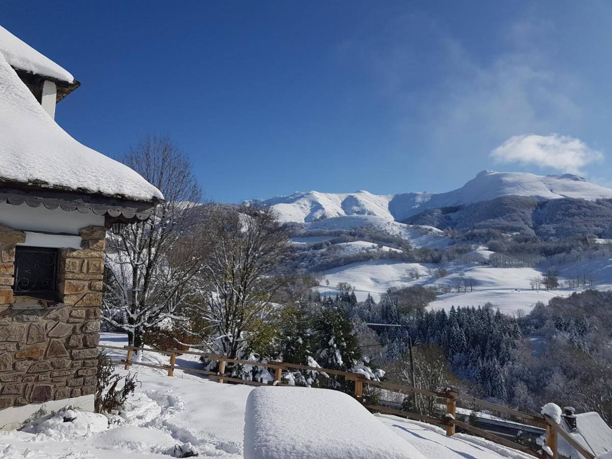 Chalet Avec Vue Panoramique Sur Le Plomb Du Cantal Villa Saint-Jacques-des-Blats ภายนอก รูปภาพ