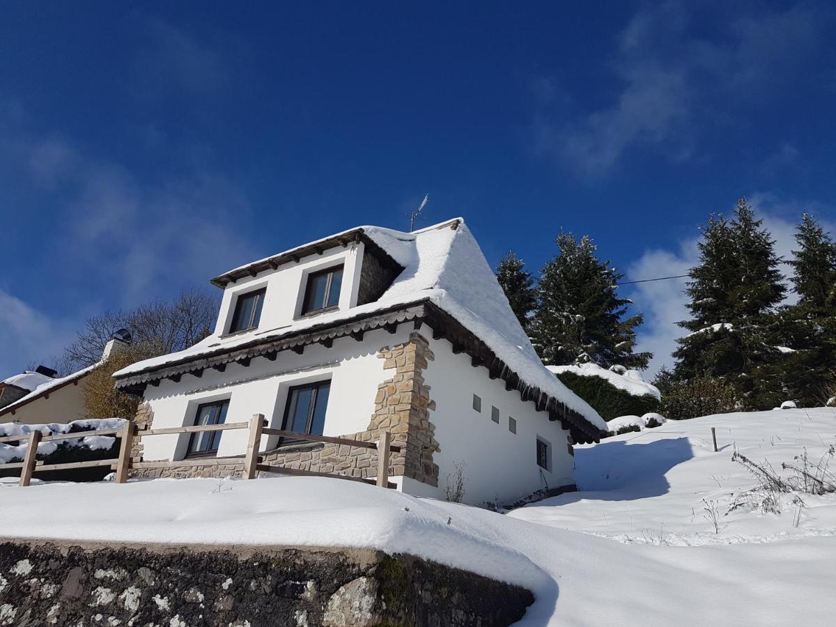 Chalet Avec Vue Panoramique Sur Le Plomb Du Cantal Villa Saint-Jacques-des-Blats ภายนอก รูปภาพ