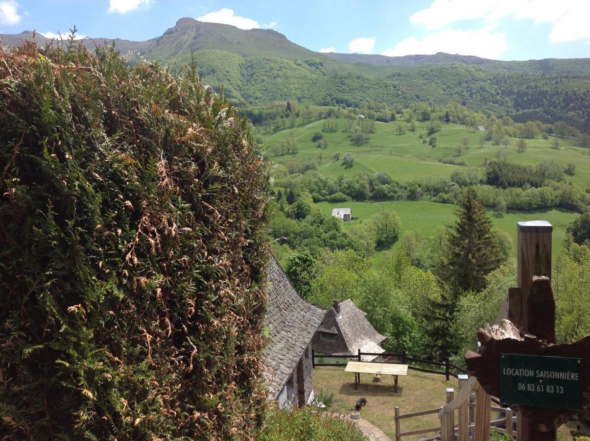 Chalet Avec Vue Panoramique Sur Le Plomb Du Cantal Villa Saint-Jacques-des-Blats ภายนอก รูปภาพ