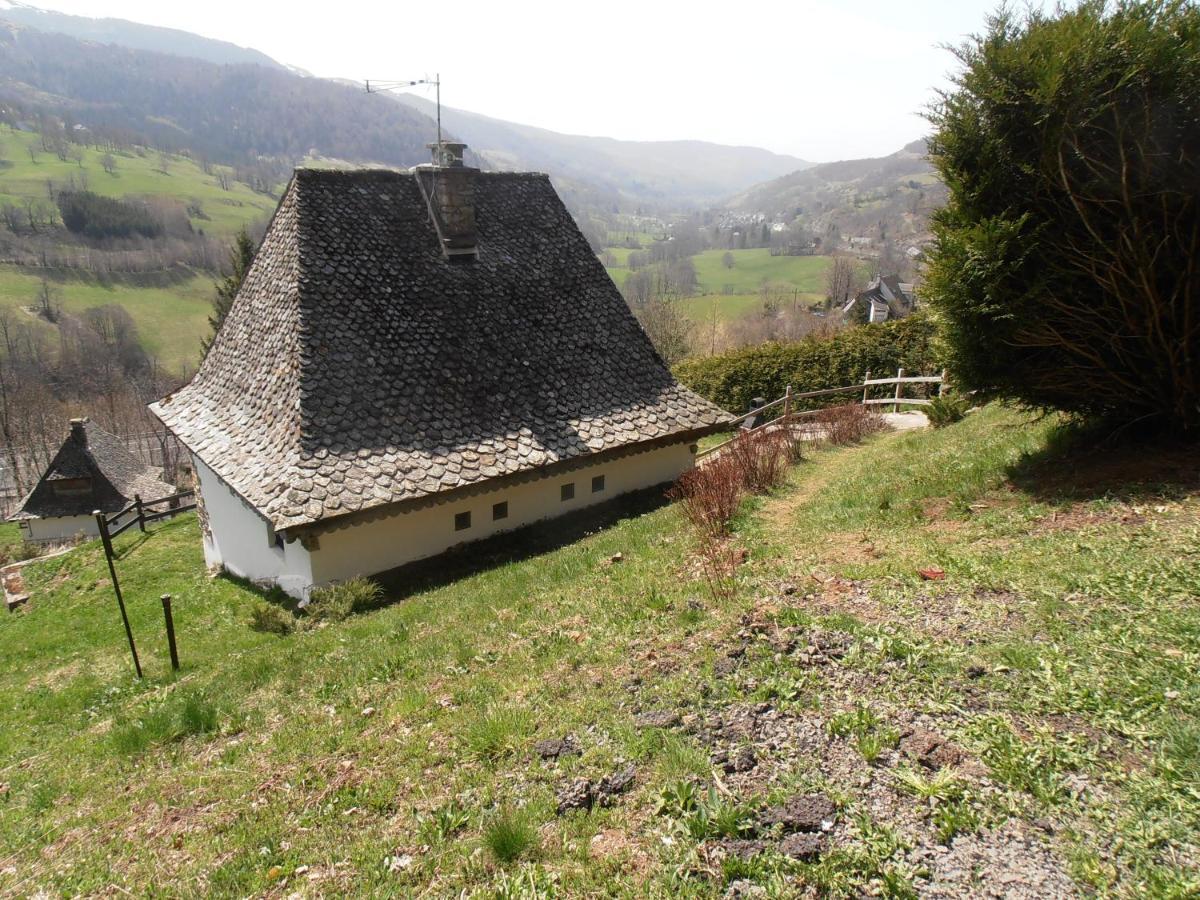 Chalet Avec Vue Panoramique Sur Le Plomb Du Cantal Villa Saint-Jacques-des-Blats ภายนอก รูปภาพ