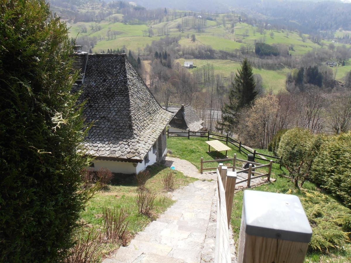 Chalet Avec Vue Panoramique Sur Le Plomb Du Cantal Villa Saint-Jacques-des-Blats ภายนอก รูปภาพ