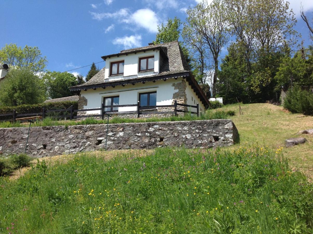 Chalet Avec Vue Panoramique Sur Le Plomb Du Cantal Villa Saint-Jacques-des-Blats ภายนอก รูปภาพ