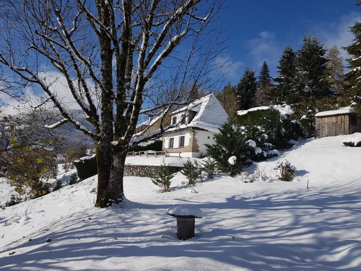 Chalet Avec Vue Panoramique Sur Le Plomb Du Cantal Villa Saint-Jacques-des-Blats ภายนอก รูปภาพ