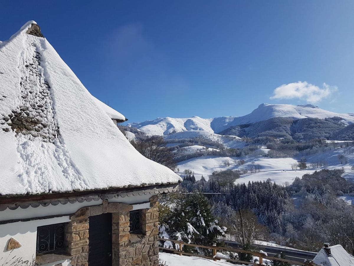 Chalet Avec Vue Panoramique Sur Le Plomb Du Cantal Villa Saint-Jacques-des-Blats ภายนอก รูปภาพ