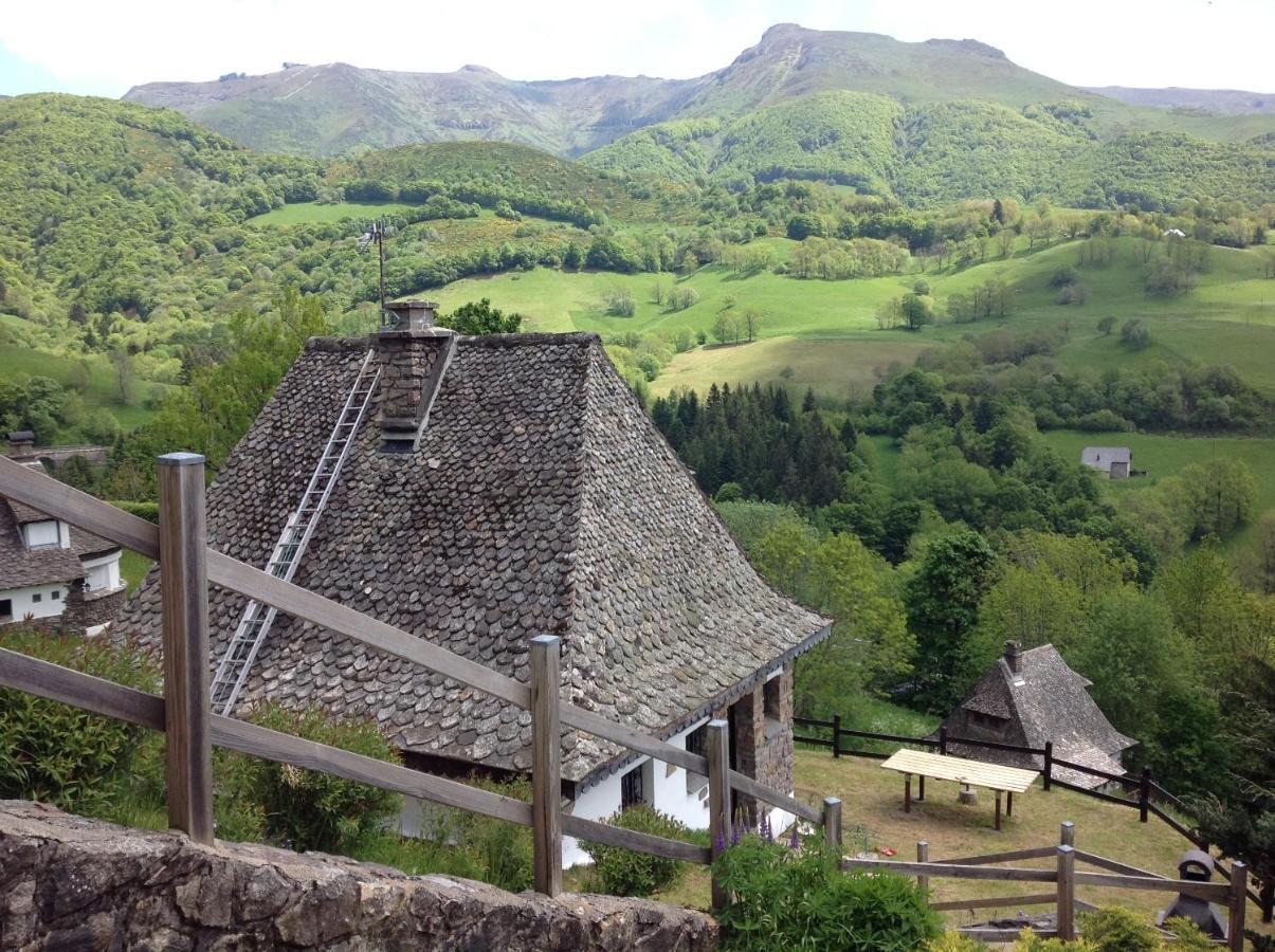 Chalet Avec Vue Panoramique Sur Le Plomb Du Cantal Villa Saint-Jacques-des-Blats ภายนอก รูปภาพ