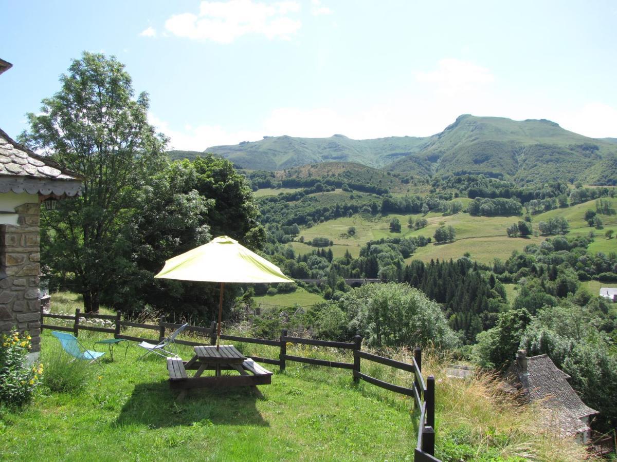 Chalet Avec Vue Panoramique Sur Le Plomb Du Cantal Villa Saint-Jacques-des-Blats ภายนอก รูปภาพ